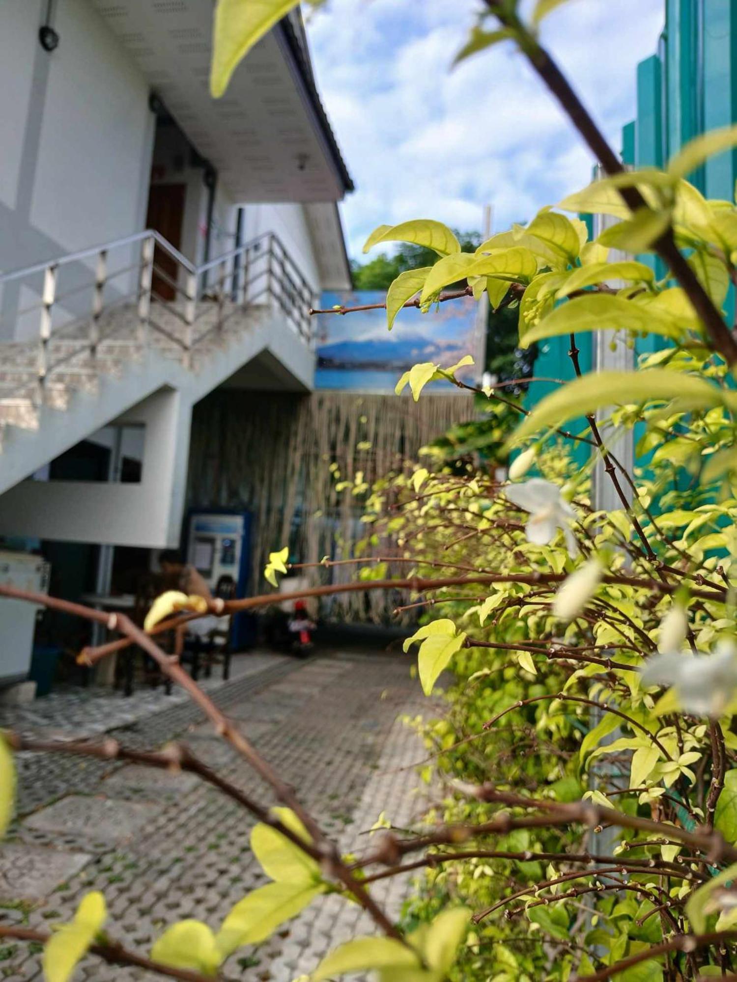 Sakura House Hostel Chiang Mai Bagian luar foto