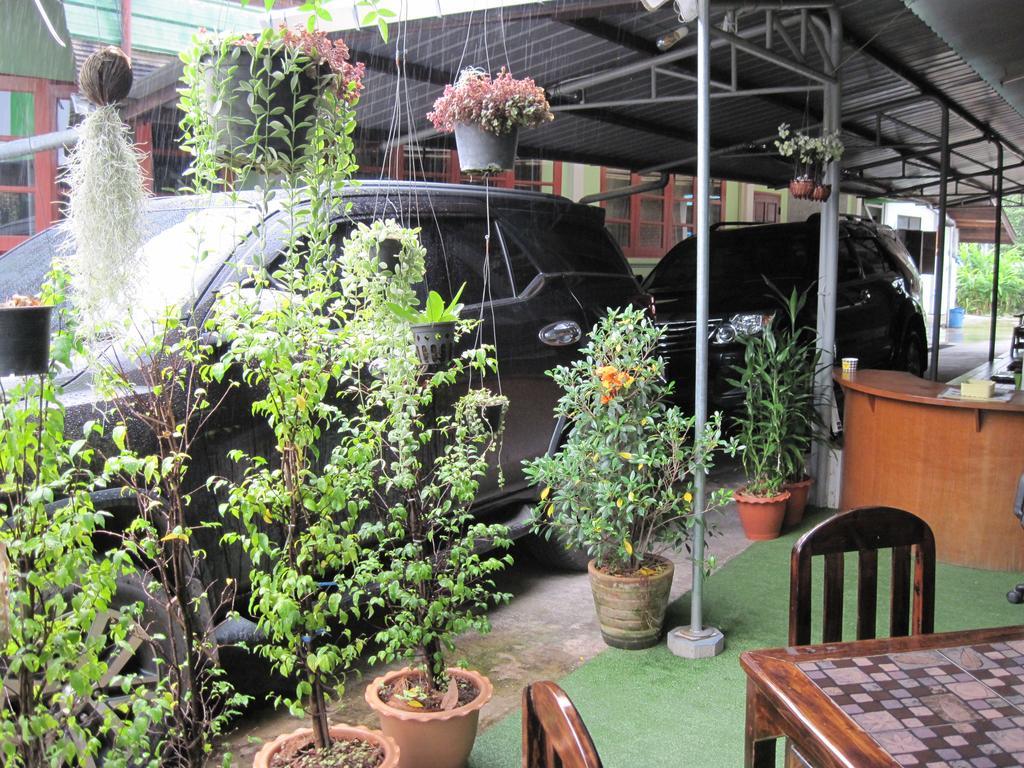 Sakura House Hostel Chiang Mai Bagian luar foto