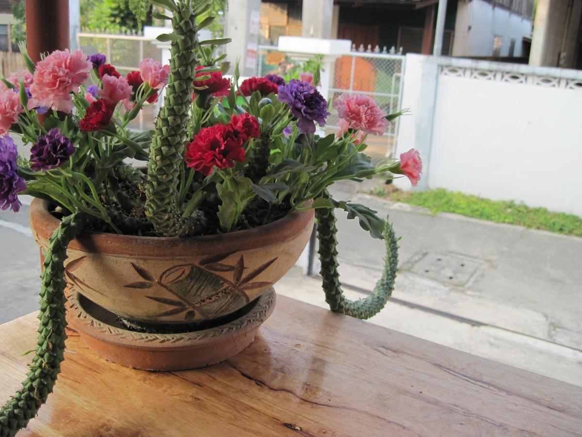 Sakura House Hostel Chiang Mai Bagian luar foto